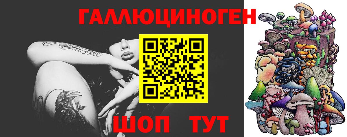 Псилоцибиновые грибы Cubensis  Вход с VPN  Амурск 