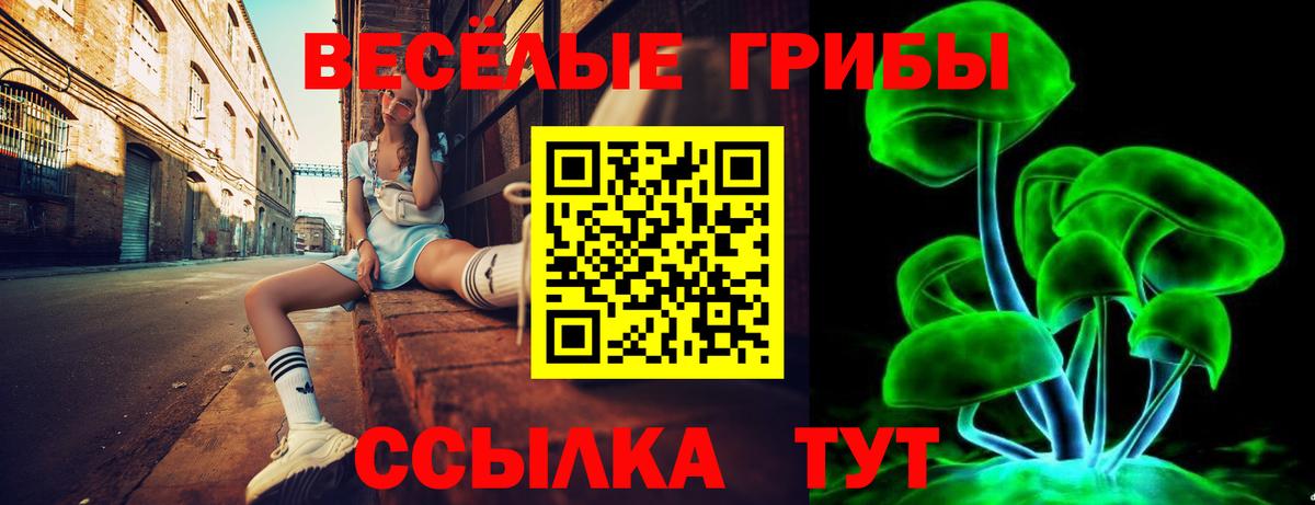 Галлюциногенные грибы Magic Shrooms Амурск